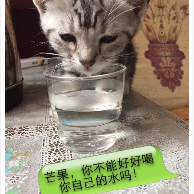 圭亚那护照真实样板